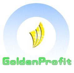 广东穗丰盈经贸发展 国际贸易管理咨询服务的专业伙伴