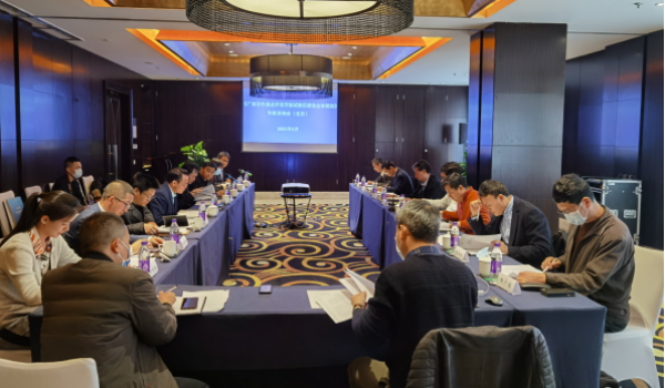 汇聚专家智慧 共绘开放蓝图——黄文川主持召开《广西百色重点开发开放试验区建设总体规划》专家咨询会（北京）侧记